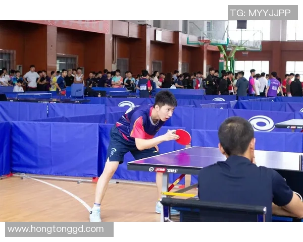 南京乒乓球队的训练与备战揭秘展现乒乓球的魅力与激情
