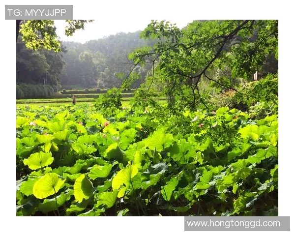 深度对话:周娜如何在足球世界中追寻梦想与自我成长 深度对话:周娜如何在足球世界中追寻梦想与自我成长