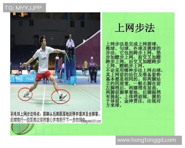 西安羽毛球队整体压制战术解析及其在比赛中的应用策略 西安羽毛球队整体压制战术解析及其在比赛中的应用策略