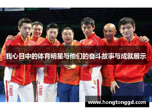 我心目中的体育明星与他们的奋斗故事与成就展示